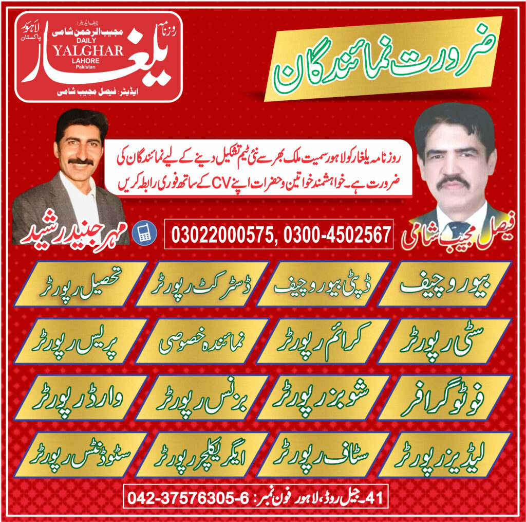 روزنامہ یلغار