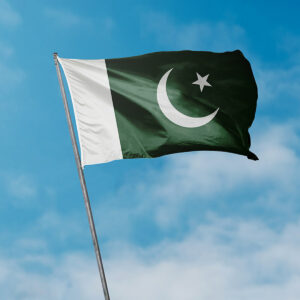 روزنامہ یلغار