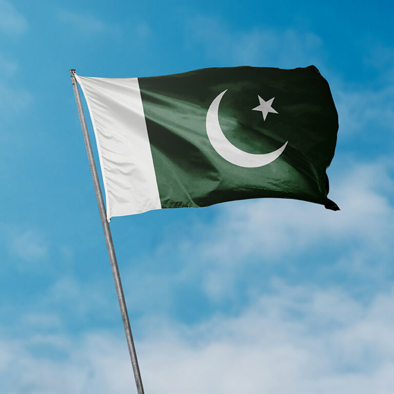 روزنامہ یلغار