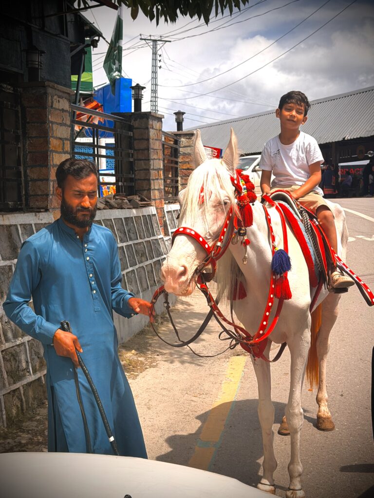 قصہ مختصر ہمارے سفر کا